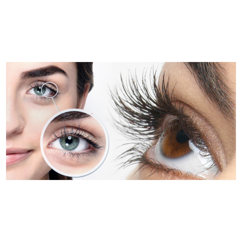 Fernstudium Lash und Brow Lifting