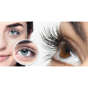 Fernstudium Lash und Brow Lifting